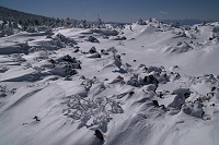 �r�X�����ؒ�B����Ă邯�Ǖ��͗₽���B