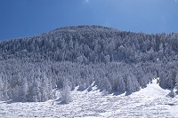 �ڂ̑O�ɂ͎Ȍ͎R��������B