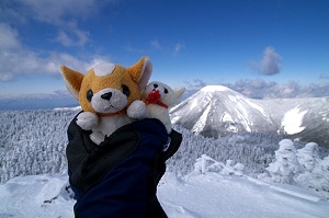 �R�̐_�l�Ɋ���(�O-�O)/