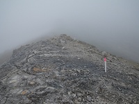 ������₩���ɗ����R�R����������͂������ǃK�X�Ō����Ȃ������B