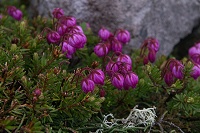 �G�]�m�c�K�U�N��