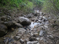 �₪�Ă䂫�������đ�����ɂȂ�Ƃ��������I��肾�B