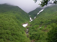 �����āA�����Ă���������(^-^)/