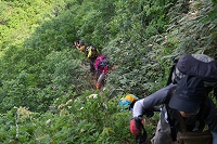 �򂩂�n�C�}�c�тւ̓o��B