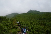 �K�X���؂ꗰ���R�̏㕔���Ȃ�Ƃ����邱�Ƃ��o�����B