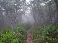 �K�X�������ёт��x�����Ȃ��牺��E�E�E�B