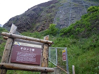 �I�����R����U��B���������ȋ}�X�΂̊K�i�����܂��B