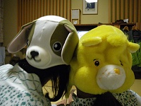 �񎟉�H������オ��܂���(^^;)