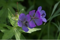 �G�]�t�E�����ȁH