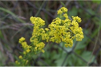 �G�]�J�����}�c�o