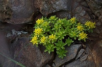 �G�]�m�L�����\�E