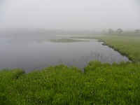 ���̒��Ɍ�����͈̂�΁B