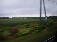 �k�C���炵�����̕��i���ǂ��܂ł��Â��E�E�E