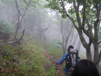 ���ɕ�܂ꂽ�o�R���E�E�E