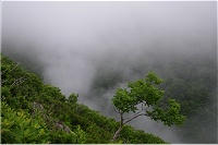 �W�]�䂩��̓J���C���b�J�̑ꂪ������͂������ǖ����E�E�E�B