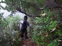 �n�C�}�c�т���}���ɉ���E�E�E�B