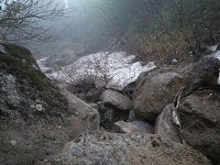 ここが枝と雪と泥が入り交じったルートは最悪!