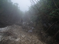 ������o���Ԃ��E�E�E