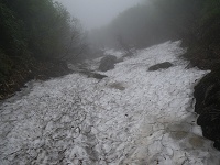 �򂪐�Ŗ��܂�B��������{�i�I�ɐ�k�������B