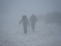 ����z���Ă��܂��܂���͒����E�E�E�B