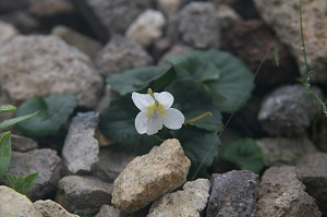 ���ɔ����I�I�@�L�O���ׂ���ꍆ��(^-^)/