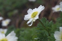 ���������L�^�_�P�\�E�B