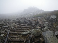 �ǂ�ǂ�W����������B