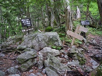 �劒��Ɣ�����r�̕���B