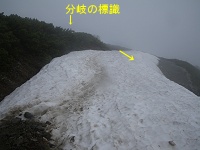 �����Y��������B