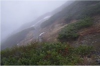 �����ׂ�㕔������B