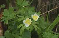 �T�������\�E