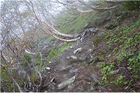 �w��̒Ⴂ�_�P�J���o�т�����B