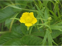 �~���}�L���|�E�Q