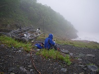 �񖓏o��ɓ����B