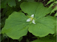 �~���}�G�����C�\�E