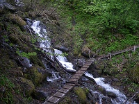 �����ȑ���������n��B