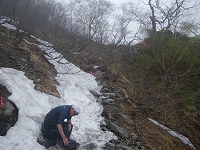 ��������ē����B�ł��n�V�S���E�E�E�I