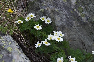 ��̊Ԃɂ��L�^�_�P�\�E�B