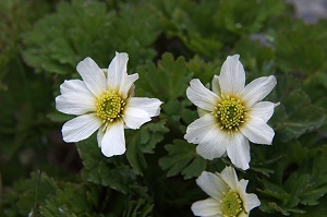 �A�b�v�ŎB�e(^-^)/