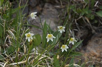 �`�V�}�A�}�i