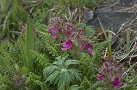 �~���}�V�I�K�}