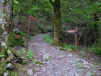 �k�x�ւ̓o�R���B