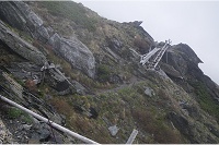 �g���o�[�X���A�ׂ����Ǒ���͂������肵�Ă���̂ŕ����₷���B