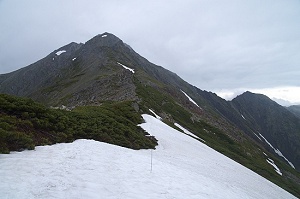 ����Ɩk�x�̑S�e��������(^-^)/�@���ɑ����͓̂o���Ă������{���̗Ő��B