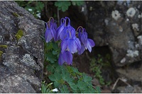 �~���}�I�_�}�L