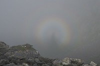 �u���b�P���I�I