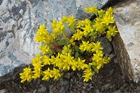 �~���}�}���l���O�T