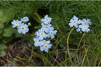 �~���}�����T�L