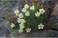 �C���E��