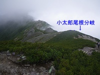 ���ɏ����Y�������L�сA���򂪌����Ă����B